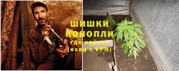 стаф Карталы