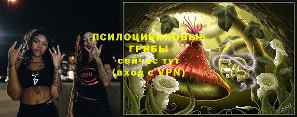 а пвп мука Касимов