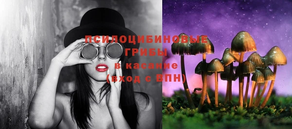 стаф Карталы