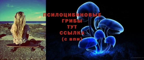 круглые Карпинск