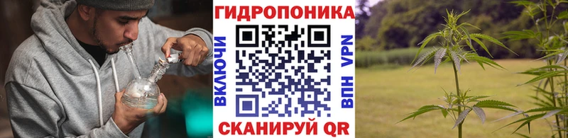 Бошки Шишки Ganja Шумерля
